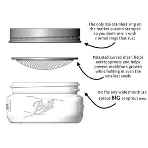 Organic Broccoli Sprout Growing Kit - Includes 316 Stainless Steel Sprouting Lid, Sprout Stand, and Organic Non-GMO Broccoli Sprouts Seeds - Complete Broccoli Sprout Kit by Handy Pantry & Trellis + Co