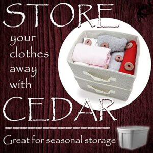 Cedar Sense Cedar Rings - 30 Pack Made in U.S.A.- Cedar Blocks for Clothes Storage - Cedar for Closets and Drawers - 100% Manufactured in The United States - Clothes Freshener