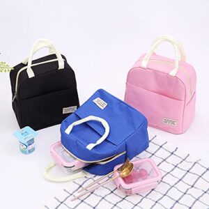 Axgo Lunch Waterproof Bento Box Reusable Thermal Tote Bag for Office Worker Picnic Hiking Beach Fishing, Pink