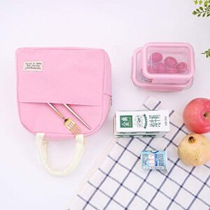 Axgo Lunch Waterproof Bento Box Reusable Thermal Tote Bag for Office Worker Picnic Hiking Beach Fishing, Pink