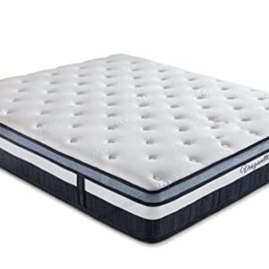 Vesgantti Twin XL Mattress 10 Inch Innerspring Multilayer Hybrid XL Twin Mattress - Ergonomic Design with Memory Foam and Pocket Spring Mattress Twin XL Size - Box Top Series Medium Firm Feel