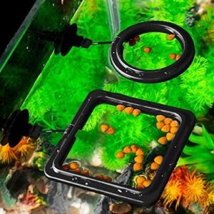 Maxmoral 2pcs Black Fish Feeding Ring Aquarium Fish Tank Mariculture Fishes Floating Food Feeder Circle with Suction Cup(Round and Square)