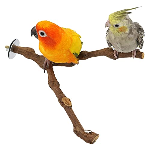 kathson Parrot Perch Stand Bird Cagestand Pole Natural Wild Grape Stick Grinding Paw Cage Accessories for Parakeet Cockatiels Budgies Conure Lovebirds Platform