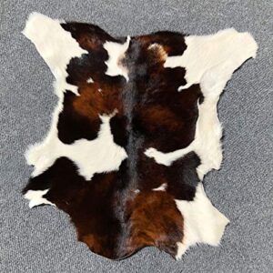 Small Tricolor Brazilian Calf Skin Calf Hide Exotic Cowhide Rug Tri Cow Hide Leather Cow Skin Area Rug Hair on - 4 ft X 3 ft Small