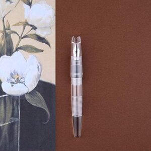 C2 Fountain Pen Fine Nib, Eyedropper Filling, Clear Transparent Acrylic, Large-Capacity Gift Set (Clear Color Only)