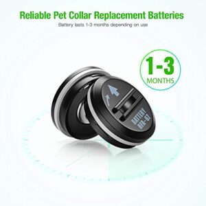 EBL 10 Pack RFA-67 6 Volt Pet Collar Replacement Batteries, Ultra Fit PIF-300 RF300 PIF-275-19 PRF-3004W PUL-250