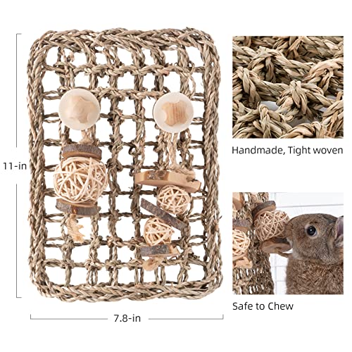 andwe Seagrass Protector Mat with Toys for Rabbit Bunny Chinchilla Guinea Pigs or Other Rodent Pets (11 X 7.87-inch)