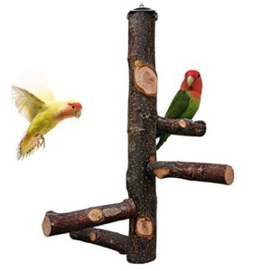 kathson parrots perch natural fruit wood stand toy branch paw grinding standing climbing toy cage accessories for small and medium birds,parakeets,lovebirds,african grey,cockatiels