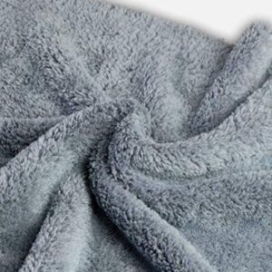 Adam's Borderless Grey Edgeless Microfiber Towel - Premium Quality 480gsm, 16 x 16 inches Plush Microfiber - Delicate Touch for The Most Delicate Surfaces (12 Pack)