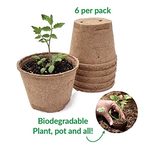 Ferry Morse Jiffy-Pots Organic Seed Starting 5" Biodegradable Peat Pots, 6 Count, 4-Pack