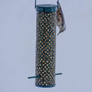 C&S Wild Bird Woodpecker Suet Nuggets Mega Box, 8 Pounds
