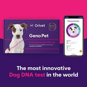 Orivet Genopet Dog DNA Test | Dog Breed Test Kit, Genetic Testing, Heritable Health Risks and Life Plan