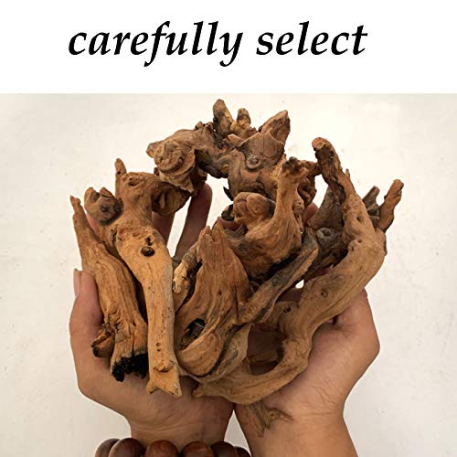 Hamiledyi Aquarium Driftwood Natural Coral Wood Driftwood Assorted Branches Reptile Fish Tank Aquarium Decoration(5 Pack)