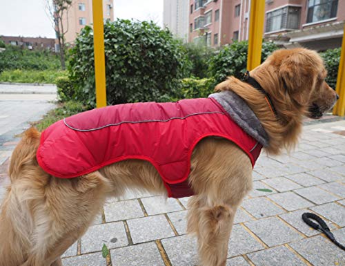 Apetian Dog Cold Weather Coats Winter Dog Vest Warm Dog Jacket Belle (M, A3-Red)