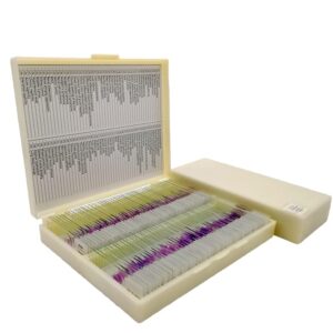 human pathological section prepared tissue specimen slides 100pcs/box