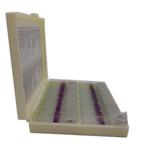 Human Pathological Section Prepared Tissue Specimen Slides 100pcs/box