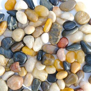sackorange 2 lb aquarium gravel river rock - natural polished decorative gravel, small decorative pebbles, mixed color stones,for aquariums, landscaping, vase fillers (32-oz)