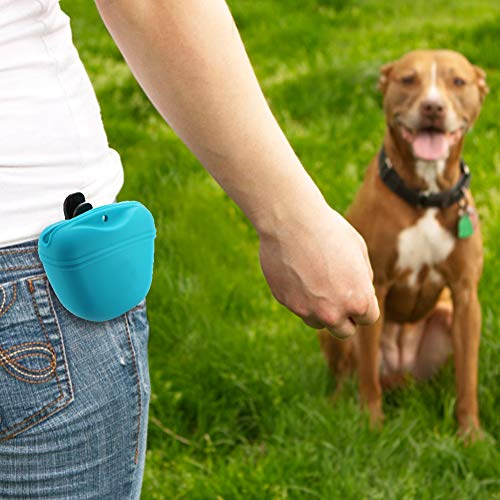 RoyalCare Silicone Dog Treat Pouch-Small Training Bag-Portable Dog Treat Bag for Leash with Magnetic Closure and Waist Clip[US Design Patent]