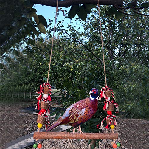 Large Chicken Swing Natural Wooden Colorful Chicken Toys for Hens Handmade Chewing Swing Toys with Bells for Bird Parrot Pet Trainning