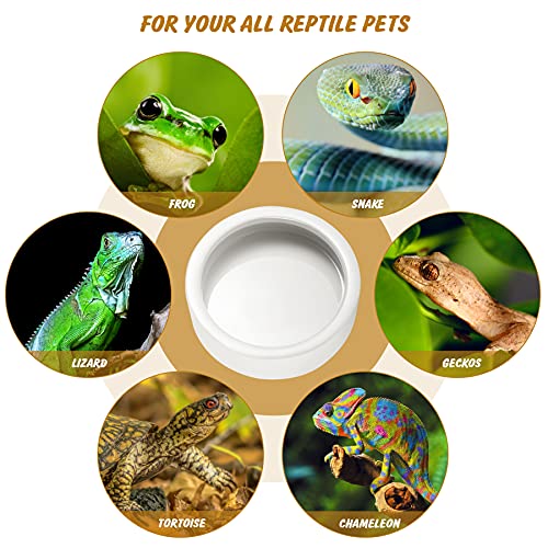 Reptile Food Dish Bowl, Worm Water Dish Small (2.75in) Lizard Gecko Ceramic Pet Bowls, Mealworms Bowls for Leopard Bearded Dragon Chameleon Hermit Crab Dubia Cricket Anti-Escape Mini Superworm Feeder