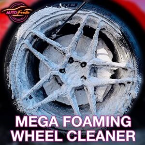 AUTO FANATIC Professional Foaming Wheel Cleaner - Wheel & Rim Cleaner for Car, Motorcycle, RV, SUV & Truck - Chemical Free Concentrated Formula Makes 4 Gallons - Use with Foam Cannon or Foam Sprayer