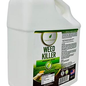 Natural Elements Weed Killer | Pet Safe, Safe Around Children | Natural Herbicide (1 Gallon)