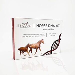 etalon diagnostics horse dna test - genetic testing kit (55+ traits) to identify equine dna - test for coat color & patterns, disease risk, abilities & performance genetics & more - minipanel plus