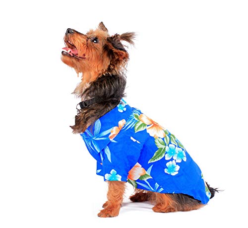 Hawaiian Matching Pattern Dog Aloha Shirt in Hibiscus Blue Size Small