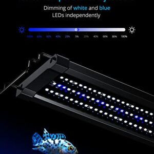 NICREW ClassicLED Gen 2 Aquarium Light, Dimmable LED Fish Tank Light with 2-Channel Control, White and Blue LEDs, High Output, Size 18 to 24 Inch, 15 Watts