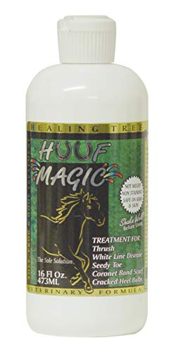 Equus Magnificus Essential Equine Hoof Magic Thrush Antiseptic 16 oz