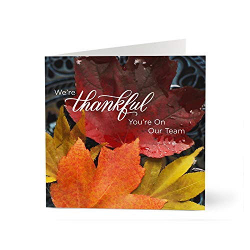 Hallmark Business Thanksgiving Cards for Employee Appreciation (Thankful Team) (Bulk Greeting Cards) (25 Pack)