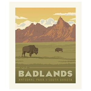 Riley Blake National Parks Badlands Panel, Fabric