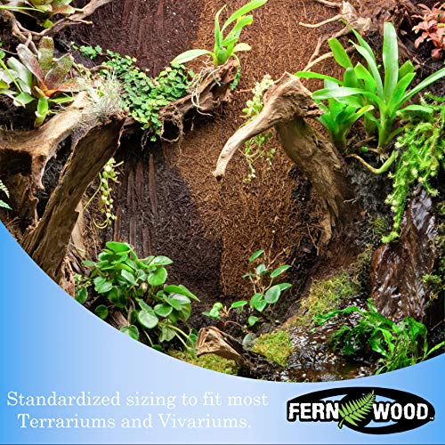 Fernwood Vivarium and Terrarium Background Panels- Made from New Zealand Tree Fern | Natural and Fibrous | for Reptile Tank Backgrounds and Vivarium Backgrounds| 12x6x.06