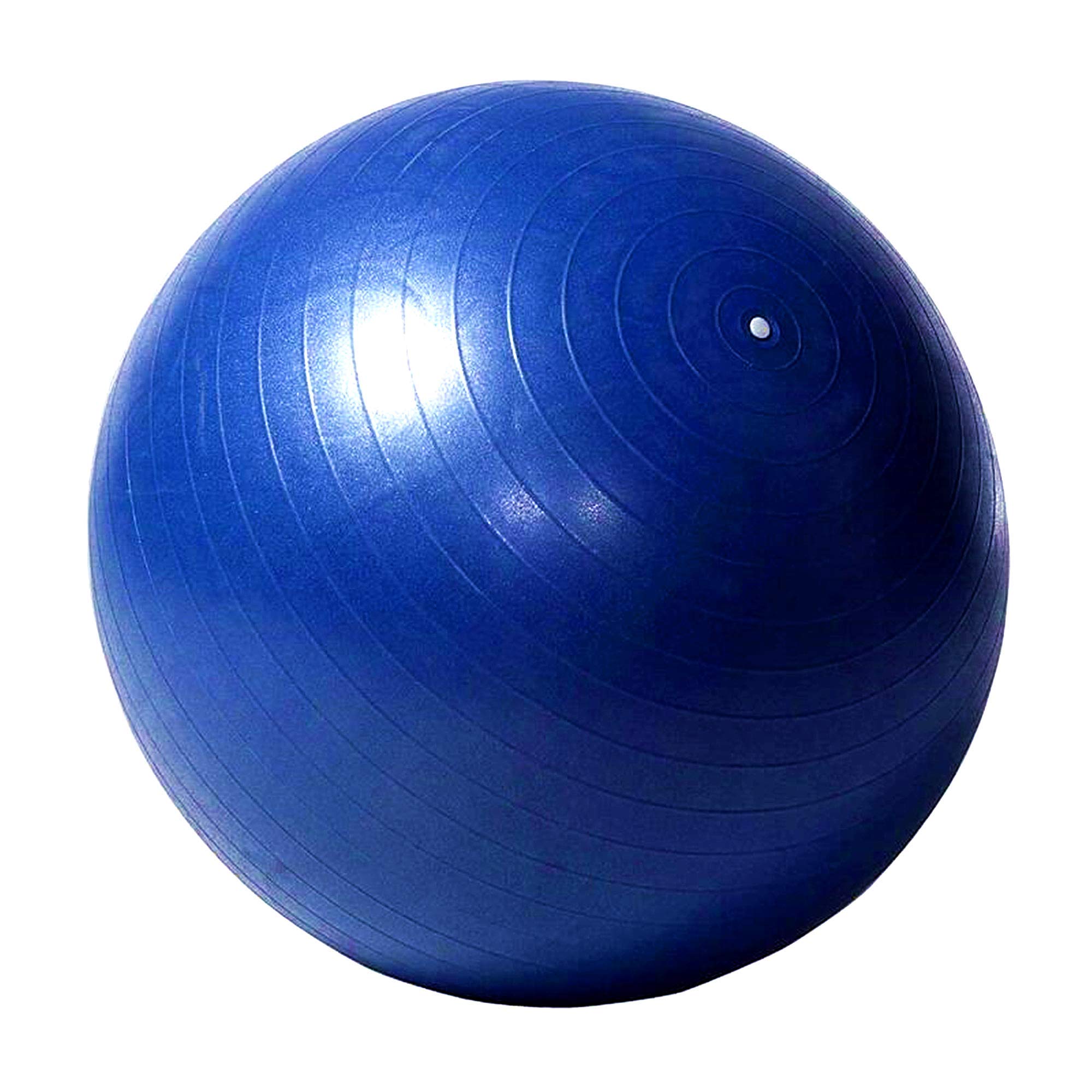 SWYIVY 30 Inch Horse Ball Toy Mega Herding Ball Giant Horse Soccer, Pump Included