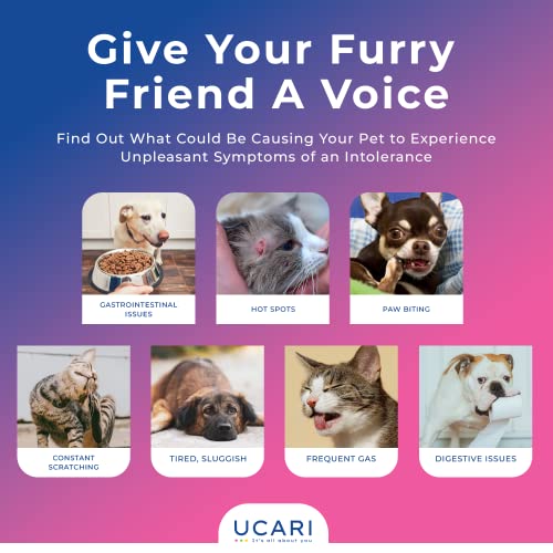 UCARI Pet Sensitivity & Intolerance Test Kit for Dogs & Cats | 1000+ Environmental & Pet Food Intolerance Screening | | 4 Tests in 1 | Non-Invasive Bioresonance Home Health Testing Kits, Fast Results