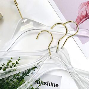 uyoyous Acrylic Clear Hangers 20 Pack Premium Quality Crystal Clear Hangers with Swivel Gold Hook Luxurious Shiny Clothes Hangers Standard Hangers (Clear)