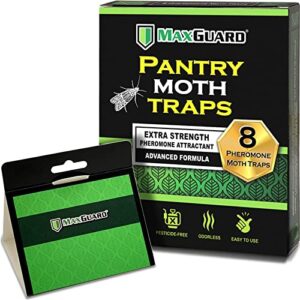 maxguard pantry moth traps (8 pack) with extra strength pheromones | non-toxic sticky glue trap for food and cupboard moths in your kitchen | trap & kill pantry pests |