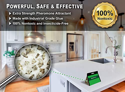 Maxguard Pantry Moth Traps (8 Pack) with Extra Strength Pheromones | Non-Toxic Sticky Glue Trap for Food and Cupboard Moths in Your Kitchen | Trap & Kill Pantry Pests |