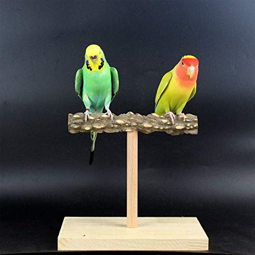 QBLEEV Bird Tabletop Training Stand Perch，Portable Parrot Tee Play Stands, Natural Wood Bird Cage Toys Gym Playground for Small Medium Parakeets Cocktails Conures Lovebirds Finch (Large)