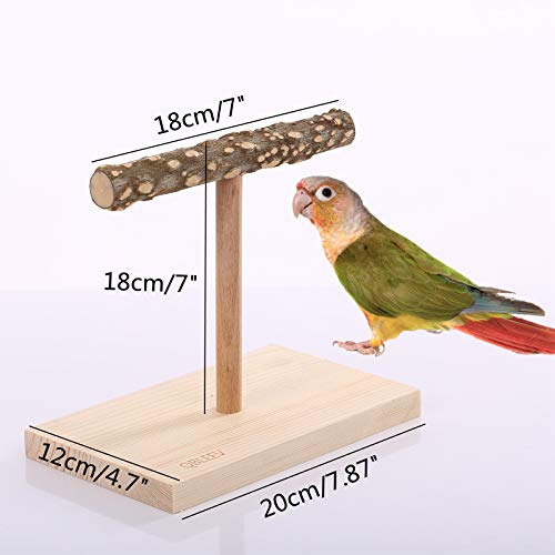 QBLEEV Bird Tabletop Training Stand Perch，Portable Parrot Tee Play Stands, Natural Wood Bird Cage Toys Gym Playground for Small Medium Parakeets Cocktails Conures Lovebirds Finch (Large)