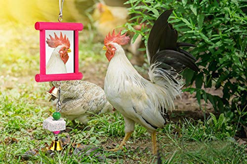 Vehomy 2Pcs Chicken Mirror Toys for Hens Hanging Swing Mirror Toys with Bells and Beak Grinding Molar Stones for Roosters Hens Birds Parrots (Yellow and Red)