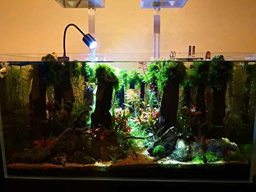 NILIPAL LED Aquarium Light - Freshwater Fish Tank Light Vivarium Terrarium Spotlight 3 Colors 3000K 4000K 6000K Cool Warm White for Planted Fish Tank (3 Colors)