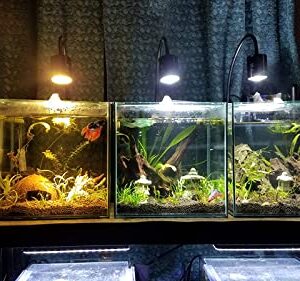 NILIPAL LED Aquarium Light - Freshwater Fish Tank Light Vivarium Terrarium Spotlight 3 Colors 3000K 4000K 6000K Cool Warm White for Planted Fish Tank (3 Colors)