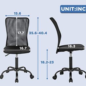 Home Office Chair Mid Back Mesh Desk Chair Armless Computer Chair Ergonomic Task Rolling Swivel Chair Back Support Adjustable Modern Chair with Lumbar Support,Black