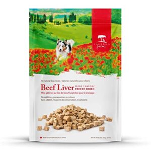caledon farms mini trainers- freeze dried beef liver dog treats: grain free, gluten free, no additives, colors or preservatives, beige 3.7 ounce (pack of 1)