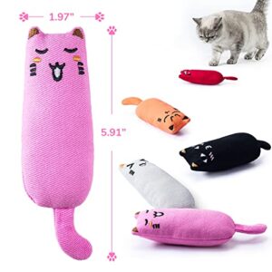 Legendog 5Pcs Catnip Toy, Cat Chew Toy Bite Resistant Catnip Toys for Cats,Catnip Filled Cartoon Mice Cat Teething Chew Toy (Multicolor)