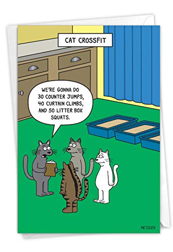 NobleWorks - 1 Funny Animal Card for Birthdays - Pet Cat and Dog Humor, Birthday Notecard with Envelope - Cat Gym C7298BDG