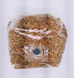 betterfungi 3 lb sterilized grain bag with injection port (milo) - make your own master grain spawn