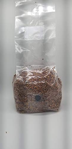 BetterFungi 3 Lb Sterilized Grain Bag with Injection Port (Milo) - Make Your Own Master Grain Spawn