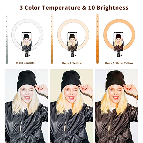 Ring Light 10" with 67" Extended Tripod Stand & Phone Holder for YouTube Video, Camera Led Ring Light for Streaming, Makeup, Selfie Photography Compatible with iPhone Android